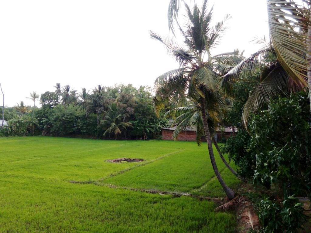 My Home Guest Polonnaruwa Exterior foto