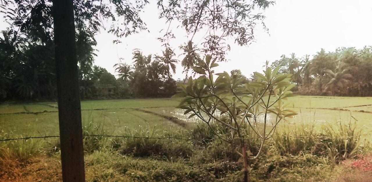 My Home Guest Polonnaruwa Exterior foto